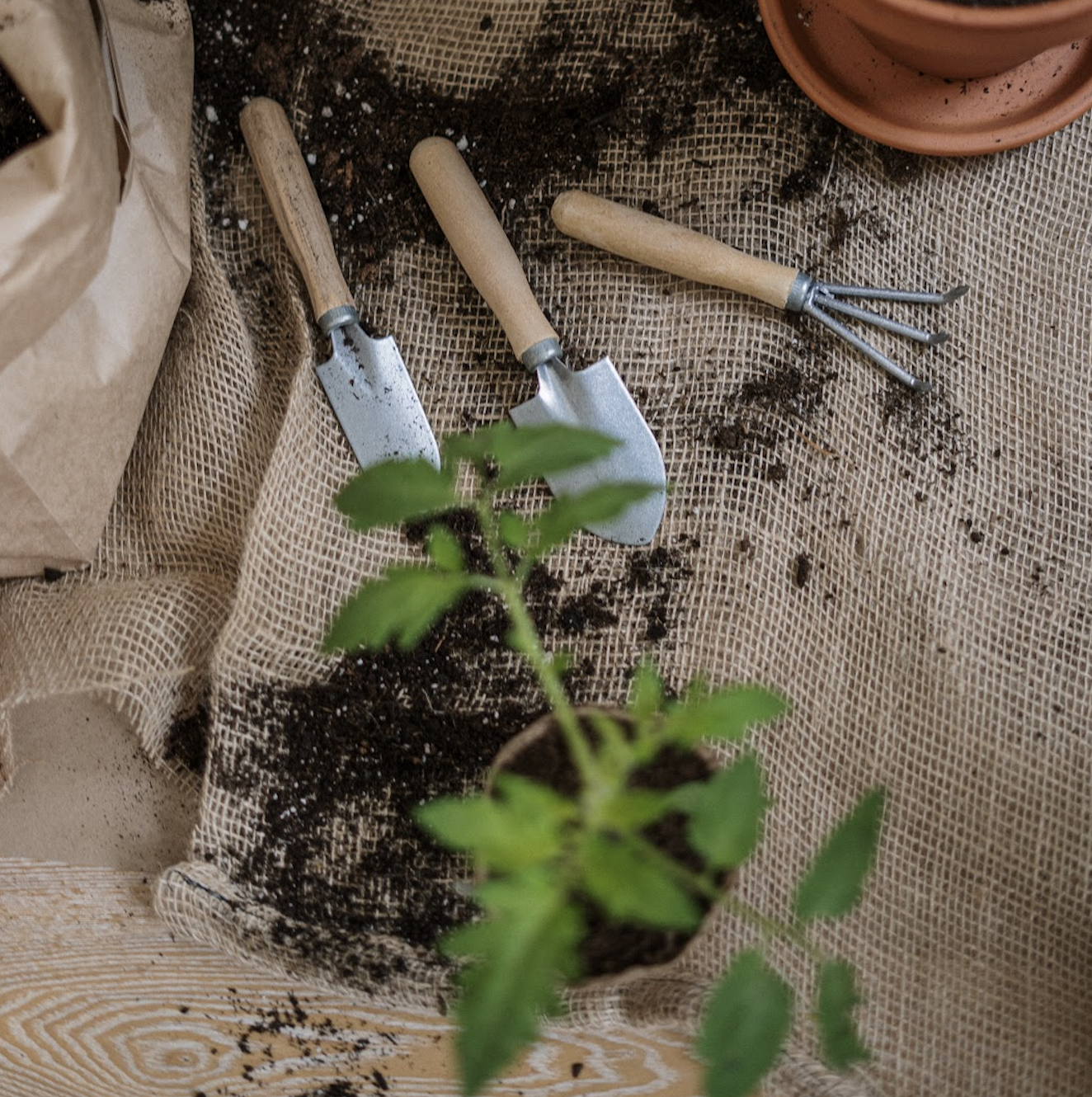 Gardening Tools and Soil from Pexels
